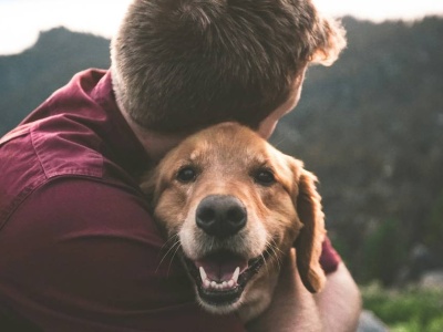 Dobre relacja z psem. 
