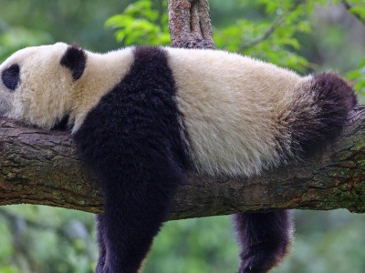 Najlepsze atrakcje Chin – co warto zobaczyć?