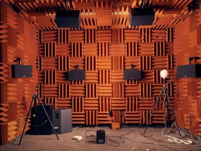 W najcichszym miejscu na Ziemi trudno jest wytrzymać. Słychać nawet szum krwi w żyłach