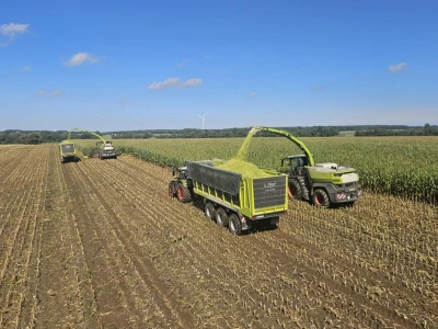 Aż 1100 koni mechanicznych pod maską! Największa sieczkarnia Claas