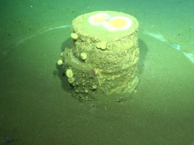 Tysiące beczek na dnie Pacyfiku. Naukowcy odkryli ich zaskakującą zawartość