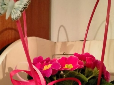 Sprzątania dzień pierwszy