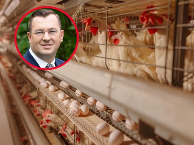 Polski drób wraca do Chin. Umowa otwiera rynek wart miliony