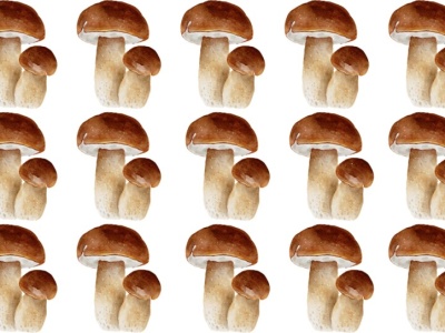 ​Szybki test na spostrzegawczość. Tylko wprawne oko dostrzeże różnicę