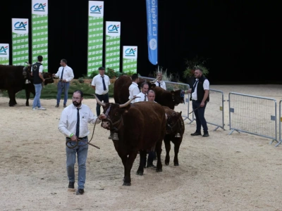 SOMMET DE L‘ÉLEVAGE 2025 francuskie święto hodowców już w październiku!