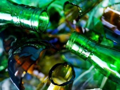 Zrobili wyspę ze starego szkła. Coś zaczęło na niej rosnąć