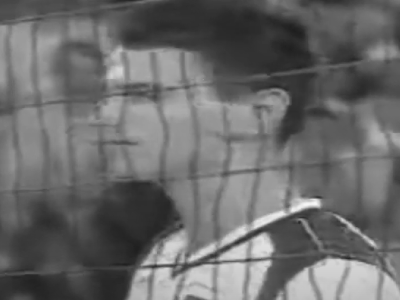 “Jeśli na boisku czujesz się jak ptak…”. Mija 20 lat od śmierci Arkadiusza Gołasia