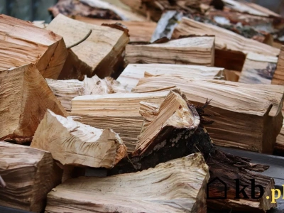 To drewno grzeje o 30% słabiej – a większość ludzi wrzuca je do kominka!