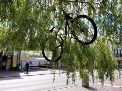 Akt wandalizmu w Gorzkowicach: Rower na drzewie budzi oburzenie