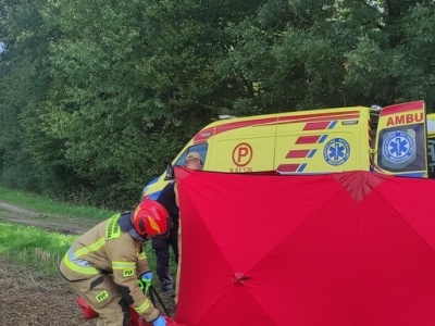 Tragedią podczas prac na sieci energetycznej [ Wiadomości ]