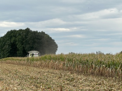 Jakie ceny usług we wrześniu? Ile za koszenie, orkę i siew?