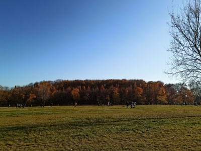 Warszawa stawia na zieleń. Nowe parki i ogrody z unijnym wsparciem w ramach programu FEnIKS 2021–2027