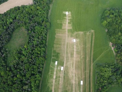 Świnie rasy puławskiej w Manufakturze Dobra – smak, który wraca do korzeni