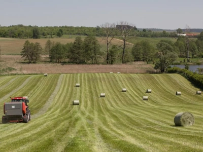 Rolnik pyta: czy po rozwodzie żona ma prawo do mojego gospodarstwa?