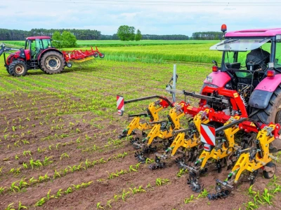 Jaką maszynę wybrać do odchwaszczania: bronę czy pielnik?