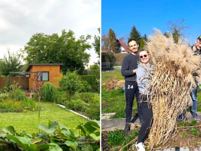 Kupili działkę ROD za 11 tys. zł. Sąsiedzi zza płotu mówili 