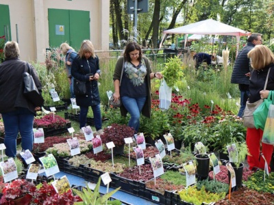 Zabezpieczone: Już 27 i 28 września kolejna odsłona Kiermaszu Ogrodniczego na Partynicach. Jesienne ogrody znów zachwycą.