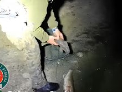 Kłusownik zatrzymany na gorącym uczynku