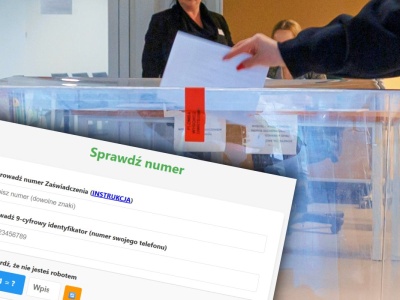 Aplikacja RKW miała blokować nadużycia przy głosowaniu. Wiemy, ilu wyborcom odmówiono kart