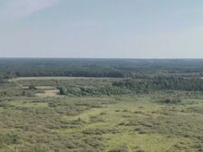 Trzy nowe rezerwaty przyrody na Lubelszczyźnie