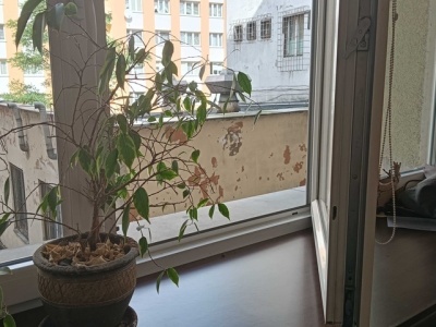 Uszczelki, umowy, presja i niesmak [ Społeczeństwo ]