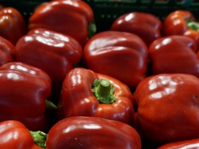 Hiszpańska papryka niepodzielnie rządzi na unijnym rynku