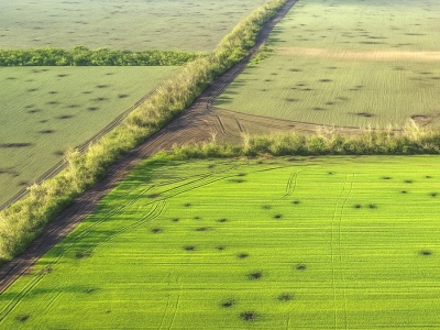 Dronowa katastrofa ekologiczna w Ukrainie uderzy w całą planetę