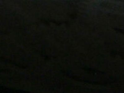 Polski Cukier AZS UMCS zaprezentował się kibicom