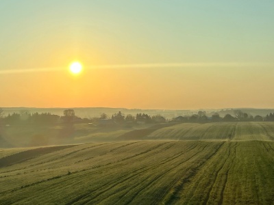 Rząd będzie rozdawał ziemię? Rolnicy wniebowzięci