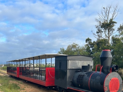 Zderzenie dwóch turystycznych pociągów w kurorcie. Są ranni