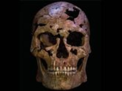 Odkryto kości w Wietnamie. Mogą być najstarszej ofiary morderstwa