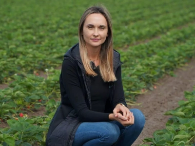 Ochrona truskawek – roztocz i przędziorek w natarciu!