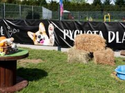 W takich warunkach żyją psy z wrocławskiego schroniska. Dostały nowe atrakcje [ZDJĘCIA]