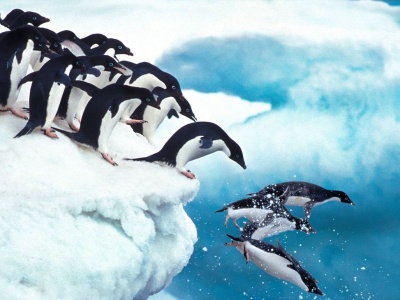 Pogoda i temperatury na Antarktydzie – kiedy jechać na wakacje z Planet Escape?