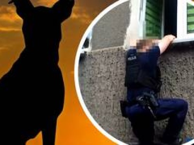 Wrocław: Sąsiedzi zadzwonili na policję, bo 42-latek nie wyszedł z psem. Uratowali mu życie [WIDEO]