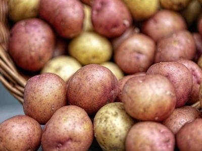 Kolorowe ziemniaki czyli „superfoods” po polsku 