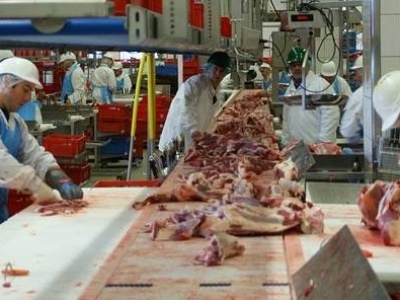 USA: przez deportacje brakuje rąk do pracy. Produkcja żywności może się załamać.