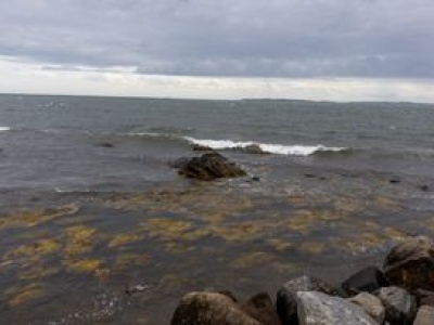 Może pomóc z kryzysem wodnym. Znaleziono zapasy słodkiej wody