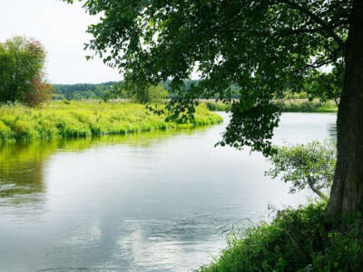 Sulejów z nową atrakcją. Będzie droga rowerowa wzdłuż Pilicy