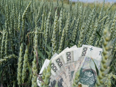 Jakie będą stawki dopłat bezpośrednich za 2025 rok? Wyliczamy i prognozujemy