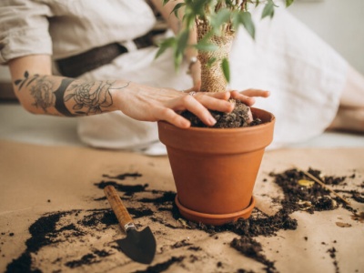 Ekologiczny festiwal w Warcie. „Odpady będzie można wymienić na nagrody”