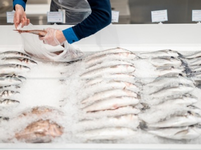 W październiku rusza nabór wniosków na dofinansowanie dla Rybactwa. Pula środków to ok. 3 mln zł