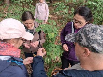 Trzeba poznać 72 gatunki w trzy dni. Ogólnopolski kurs na klasyfikatora grzybów w Koronowie [zdjęcia + wideo]