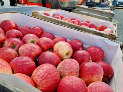 Tak wygląda handel na rynku hurtowym w Krakowie. Aktualne ceny jabłek, 18.09.2025