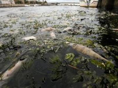 Śląskie kopalnie przez lata szkodziły rzekom. Wszystko zgodnie z prawem