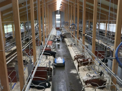 Mega nowoczesna obora Hamra Farm firmy DeLaval w Szwecji. Wyposażenie robi wrażenie!