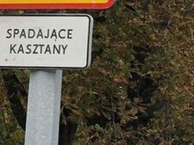 Jeszcze darmowe, ale wkrótce być może płatne. Plan na rozszerzenie stref parkingowych