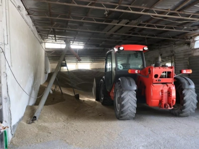 Odbijające się kursy pszenicy i kukurydzy na giełdzie MATIF, nie przynoszą podwyżek cen zbóż w kraju