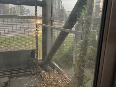 W windach rośnie bluszcz, a mieszkańcy pytają: „Panie prezydencie, kiedy koniec tej farsy?”(Galeria)