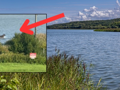 Przyłapany jak przekraczał granicę z Rosją. 